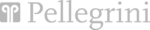 PELLEGRINI SPA