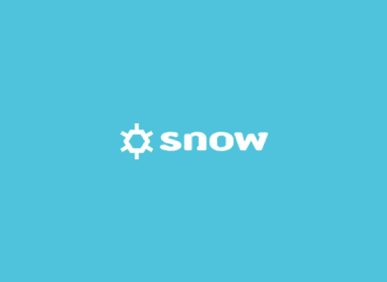 Logo Snow Software